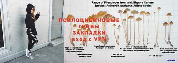 mix Аркадак