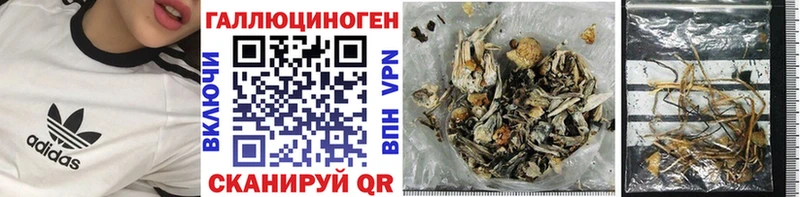 Купить где  Бежецк  Псилоцибиновые грибы MAGIC MUSHROOMS 