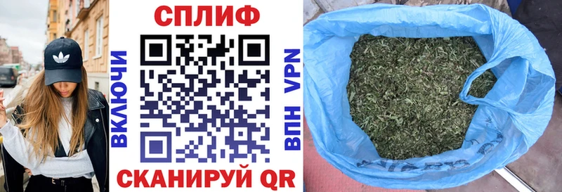 Купить закладки  Бежецк  Бошки марихуана THC 21% 